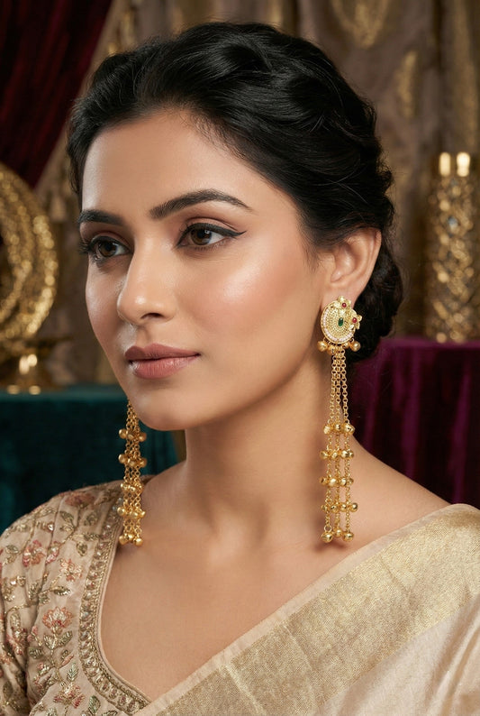 Kashmiri Long Dangling earrings